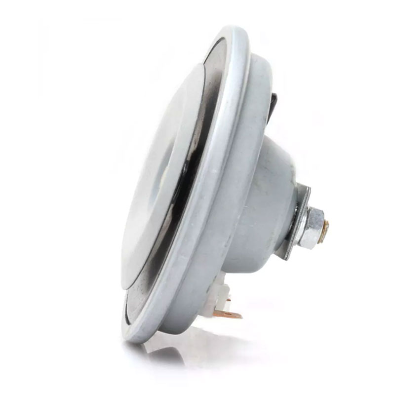 Professional Auto Horn